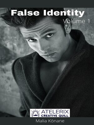 cover image of False Identity